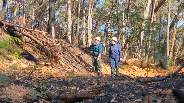 Two people walking in bush lands