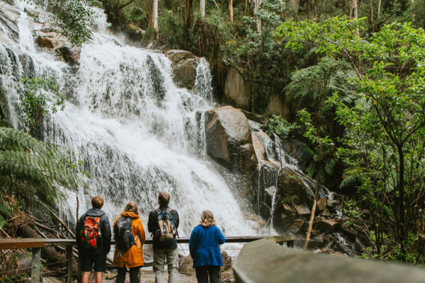 People standing in front of waterfall