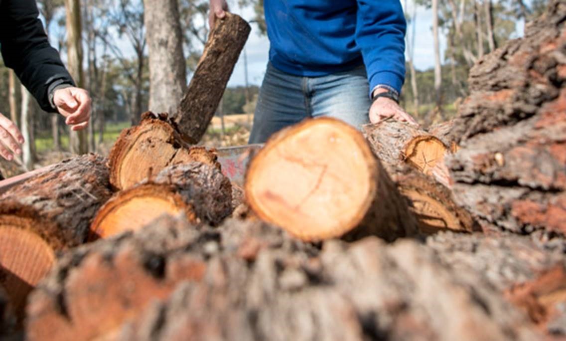 Forest Fire Management Victoria Forest Fire Management Victoria