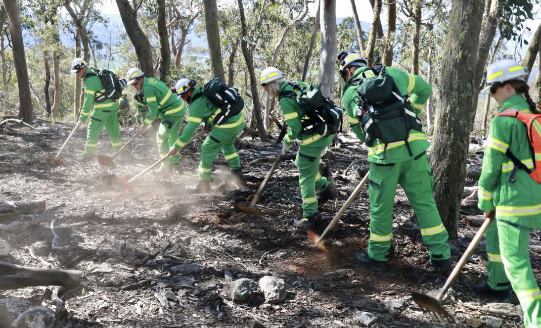 Fire operations officers at a planned burn site