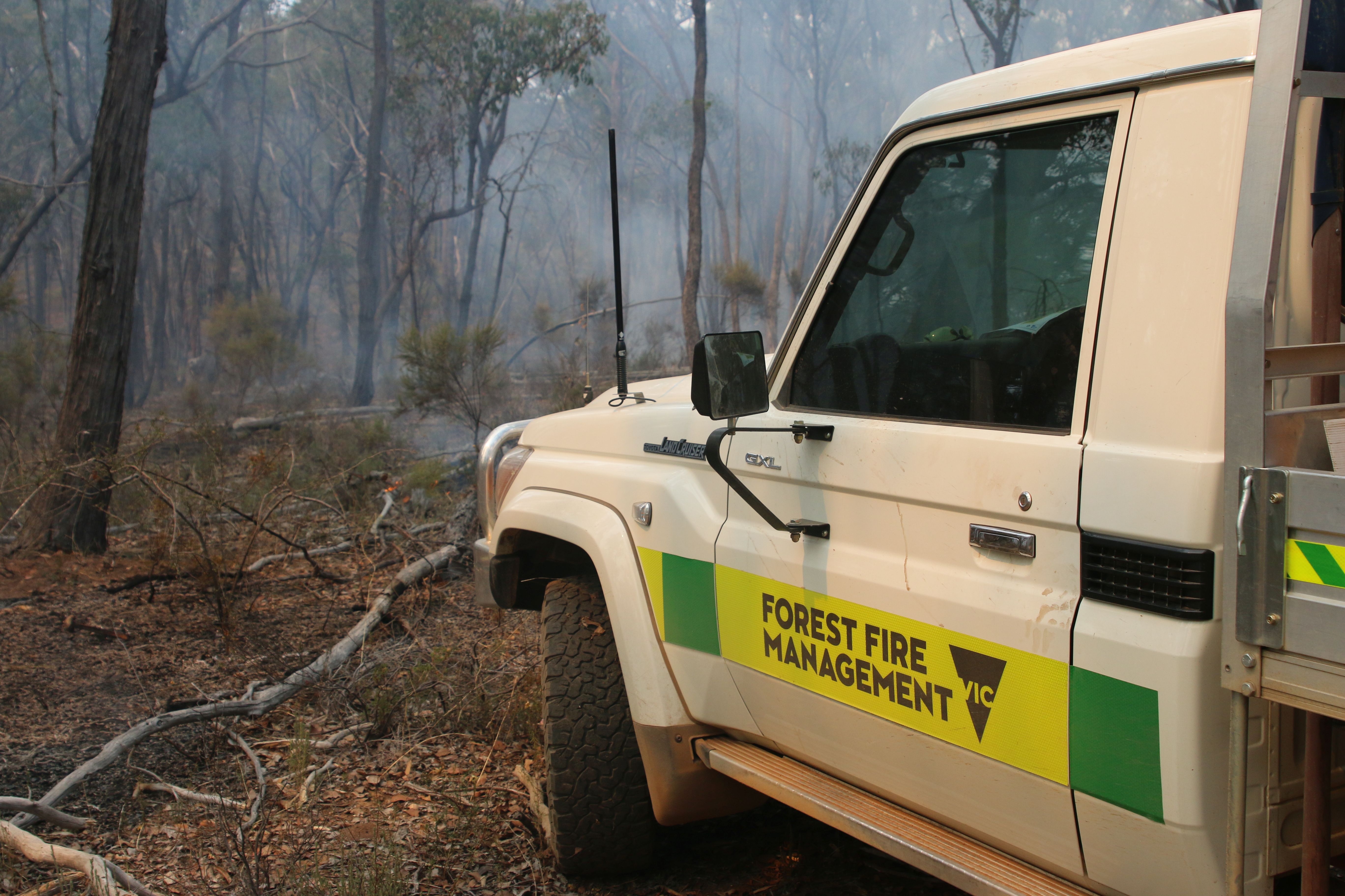 ffmvic ute logo