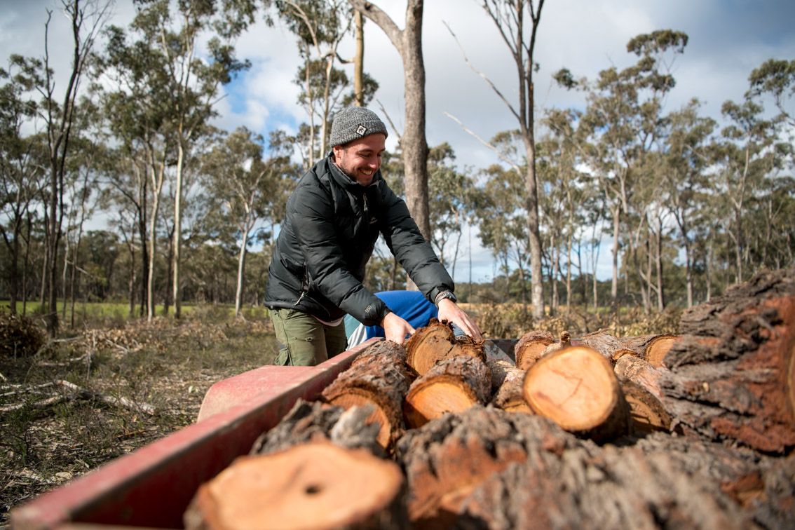 Man putting collected firewood on a trailer 