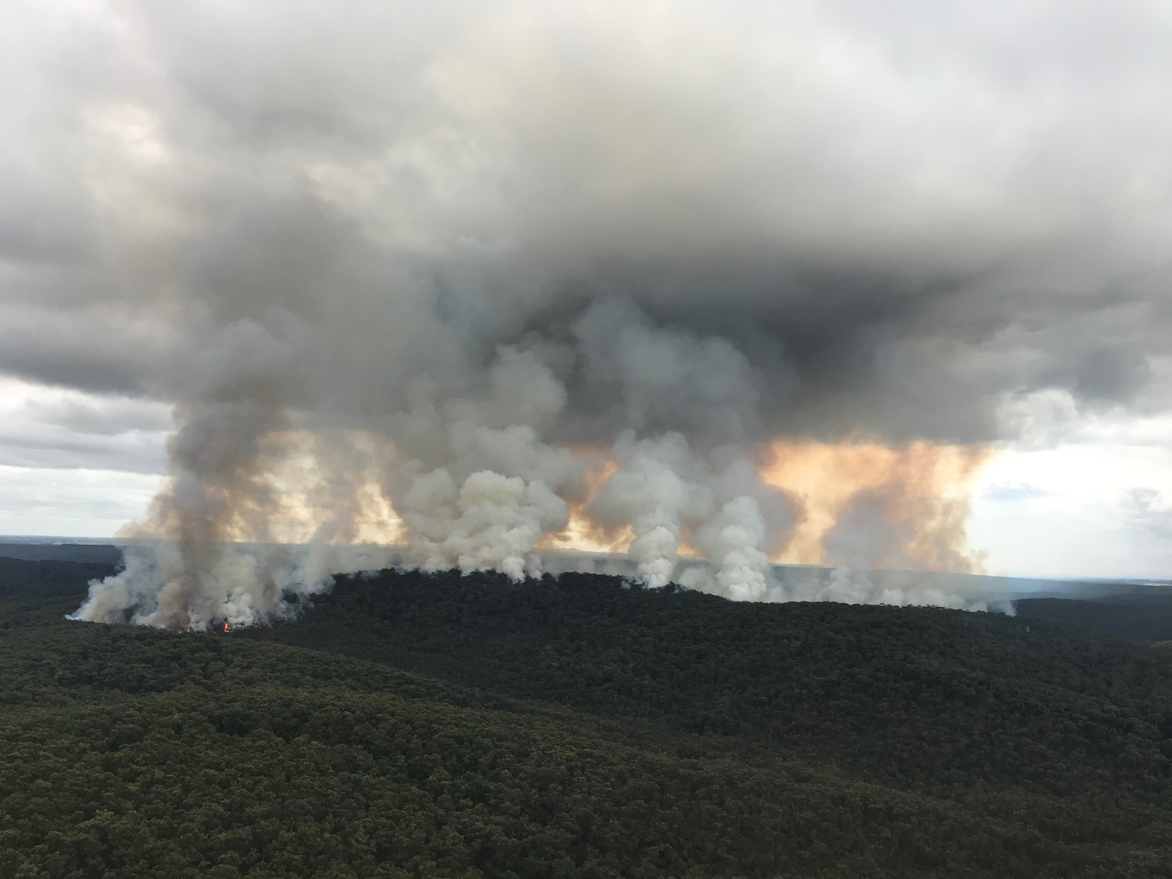 A winter planned burn in the Anglesea Heath