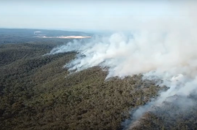 Anglesea planned burn