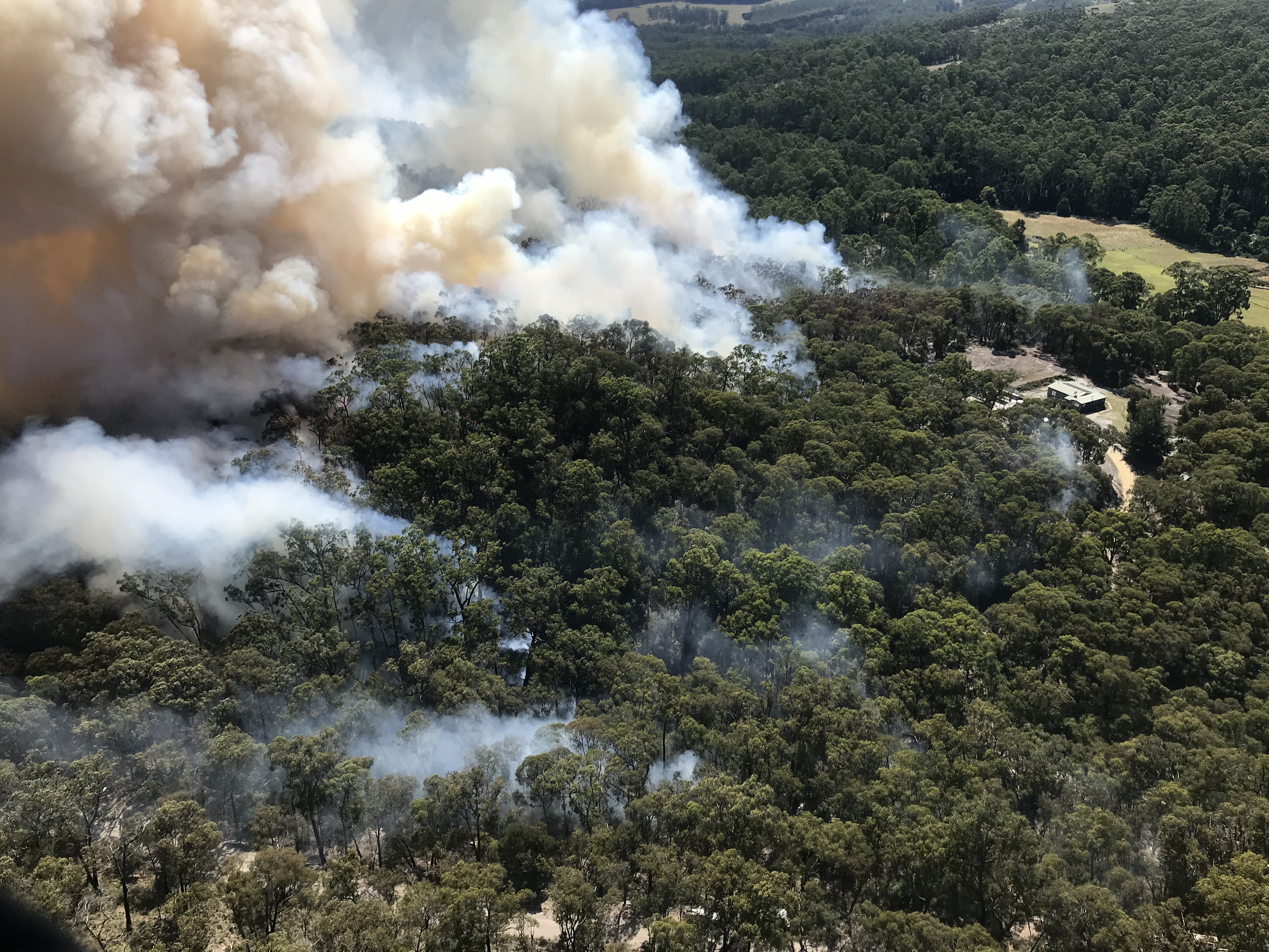 Planned burning close to a house