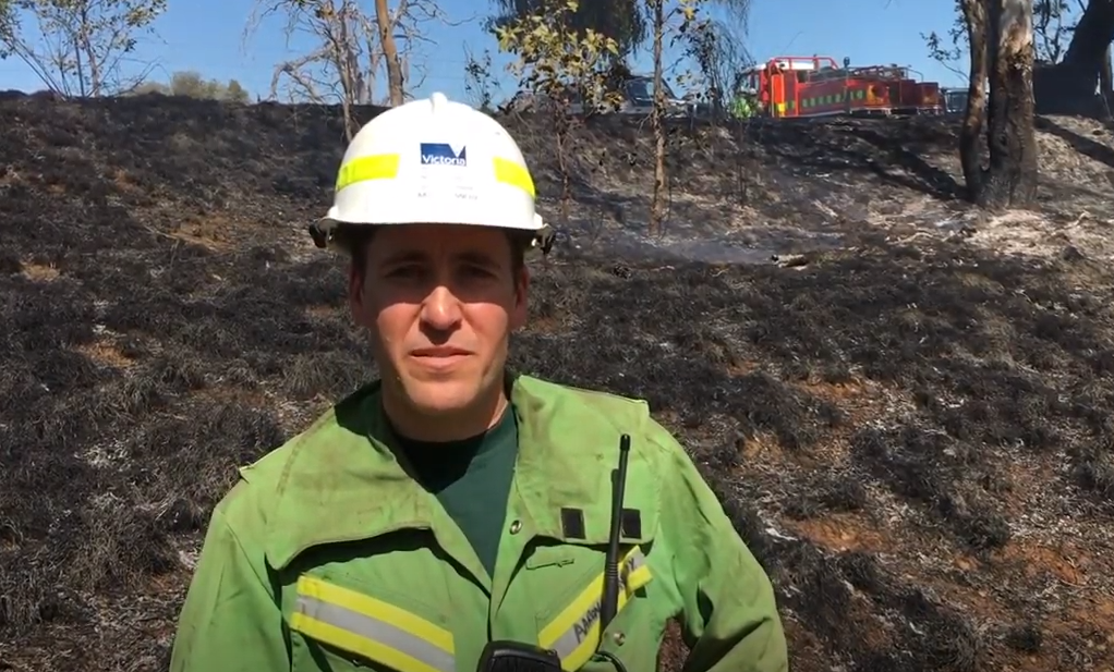 Bonegilla grassland ecological burn