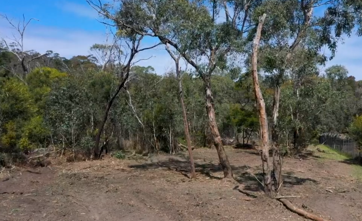 otway-district-strategic-fuel-breaks