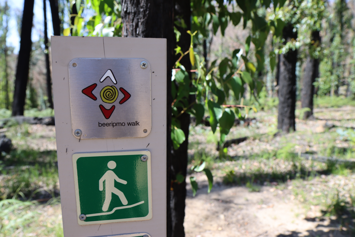 A bollard on the Beeripmo walk in the forest