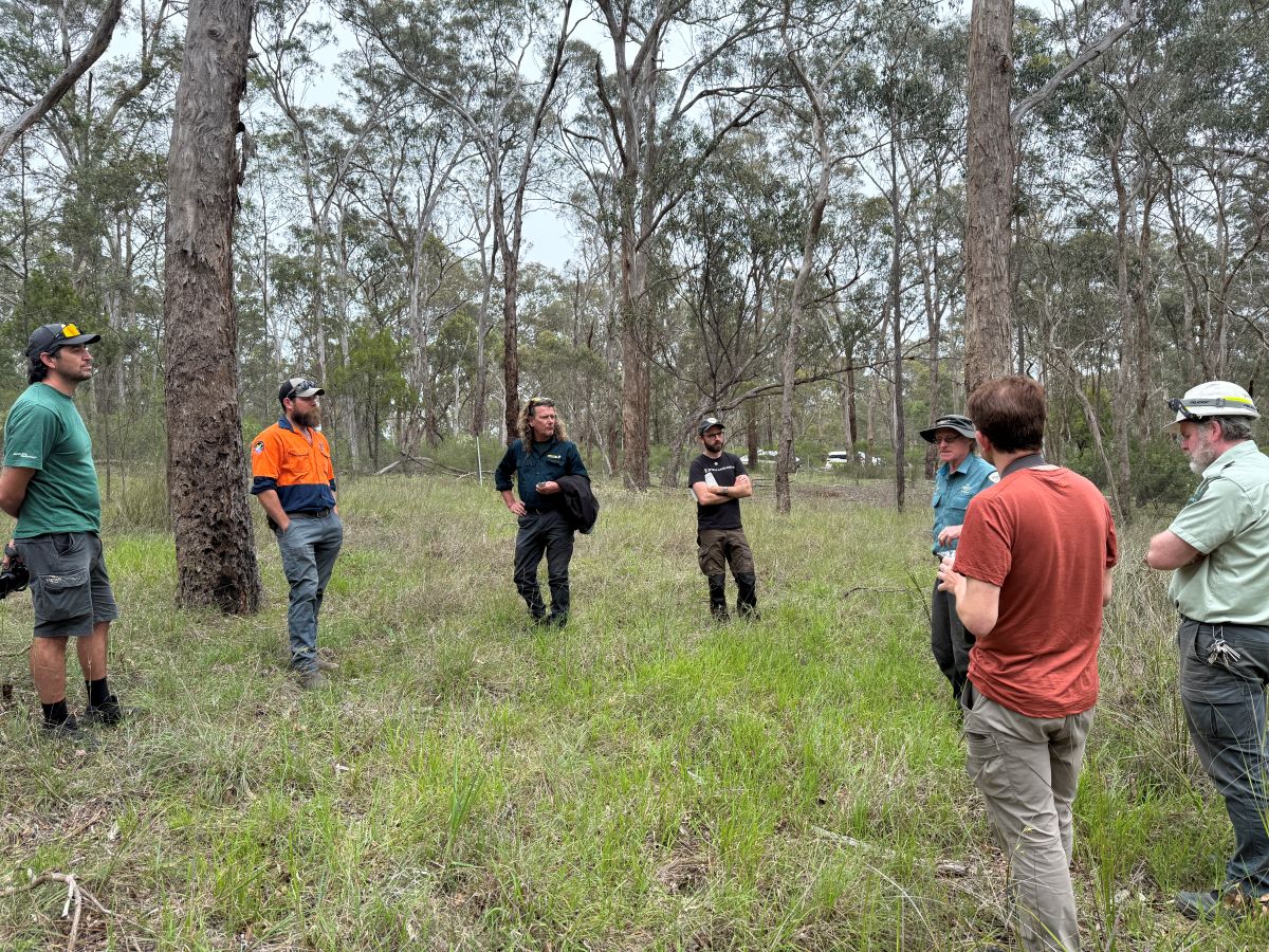 Six people from different agencies met in the forest