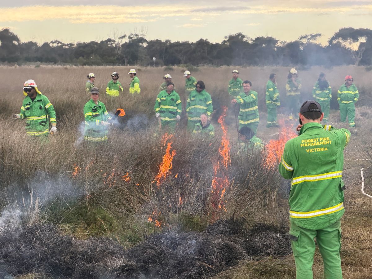 A group of firefighters delivering a cultural burn in Altona