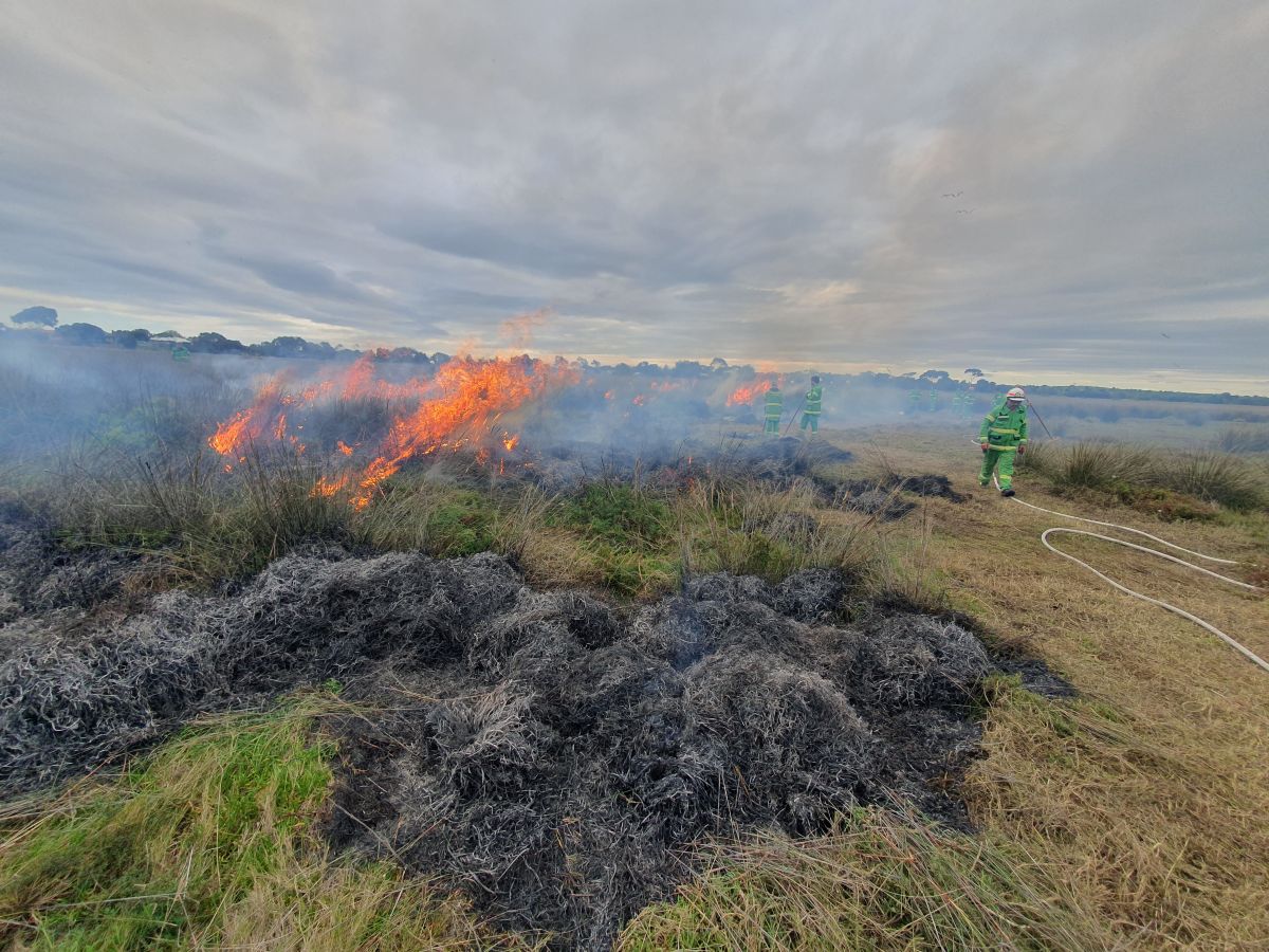 A landscape photo of the cultural burn delivered by Bunurong
