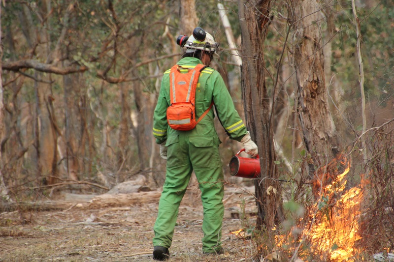 managing bushfire risk