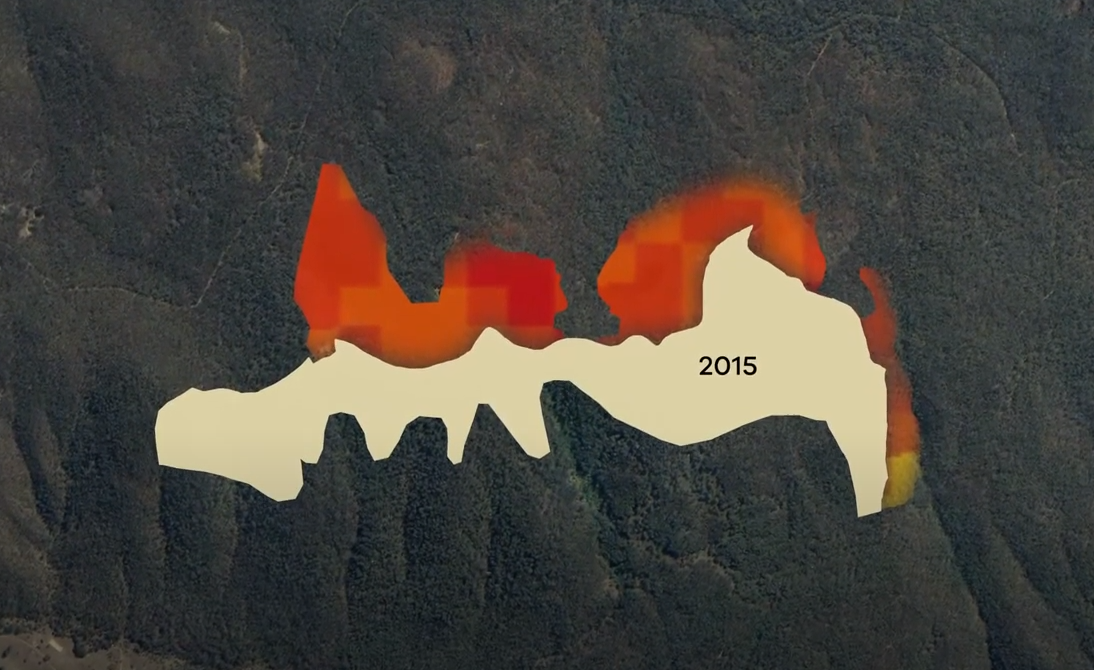 Planned Burning Case Study in Hume: Mount Hickey Fire 2015