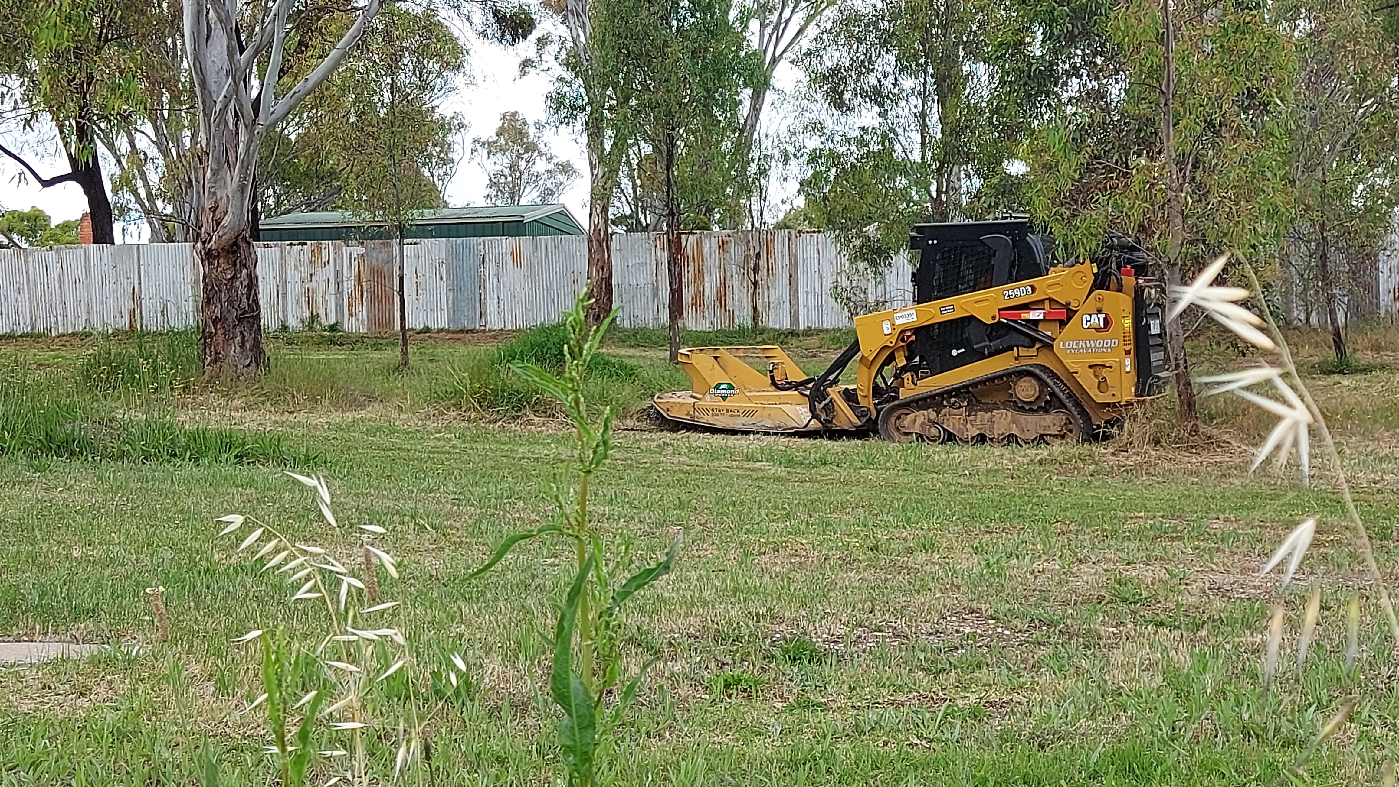 Slashing grass in Central Victoria.