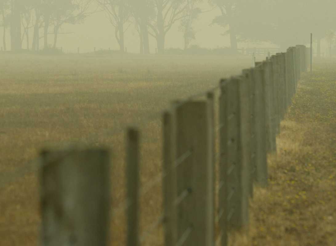 Smoky farm 