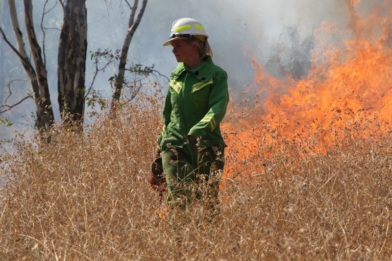 upcoming planned burns