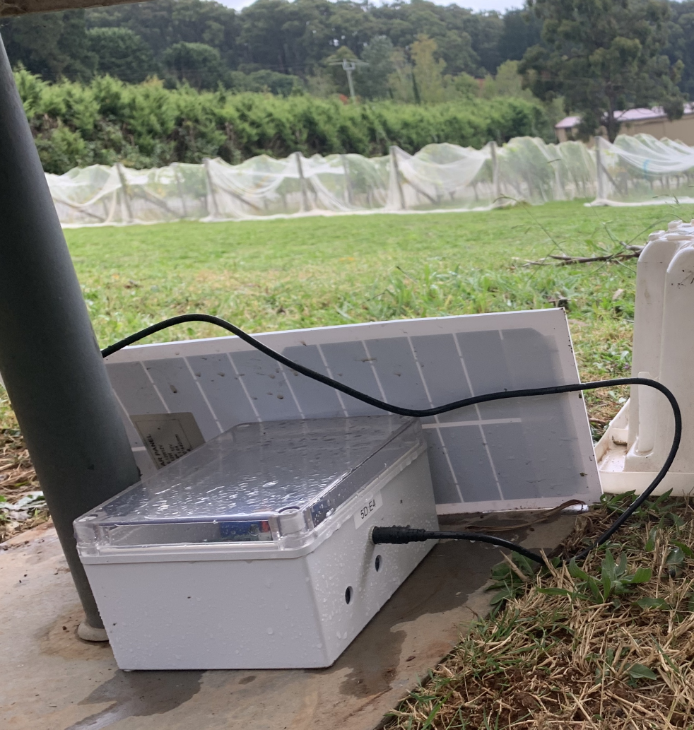  Portable smoke monitoring sensor at a vineyard 