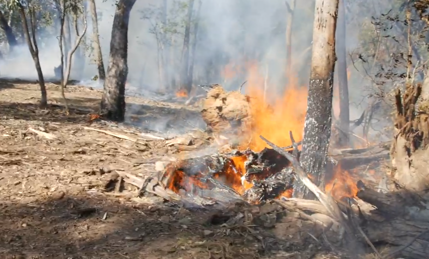 Yackandandah planned burn