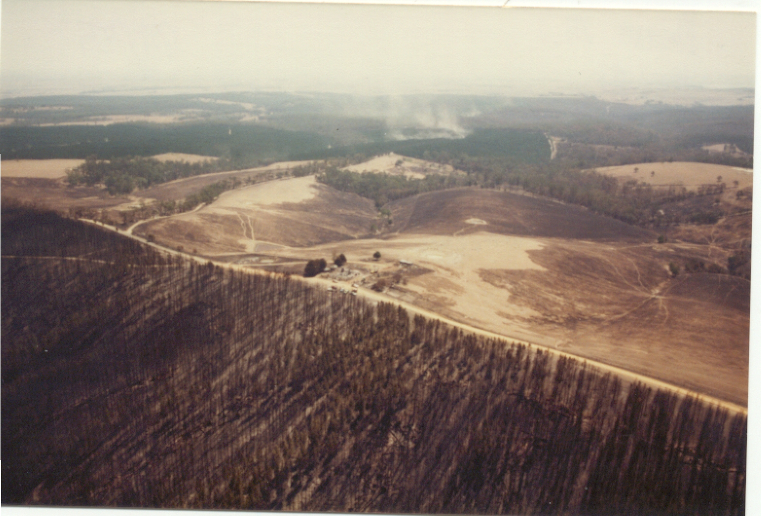 Burnt pine plantations on the Bambra-Aireys Inlet Road. Note the pattern in the bare paddocks caused by lack of fuel and high winds.