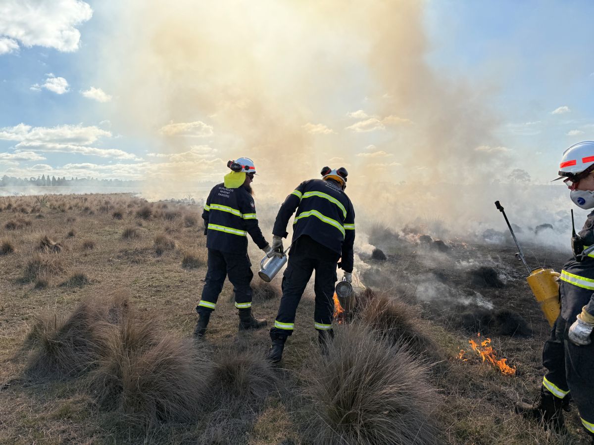 Three Wurundjeri Narrap Rangers igniting a burn