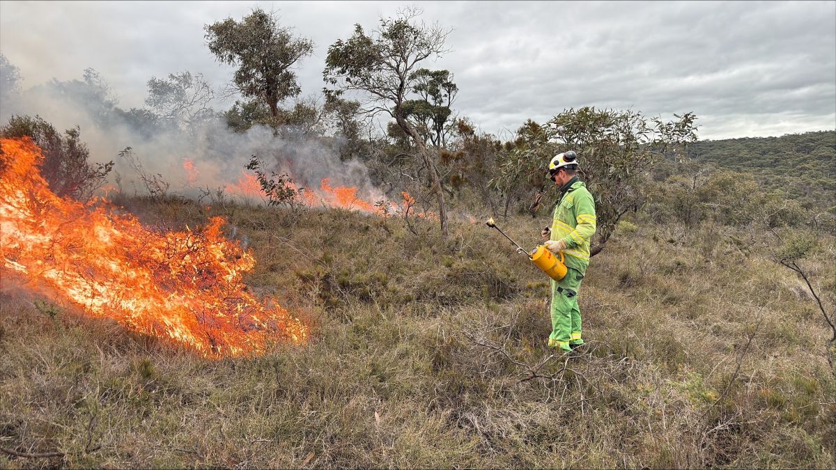 Firefighting igniting a planned burn