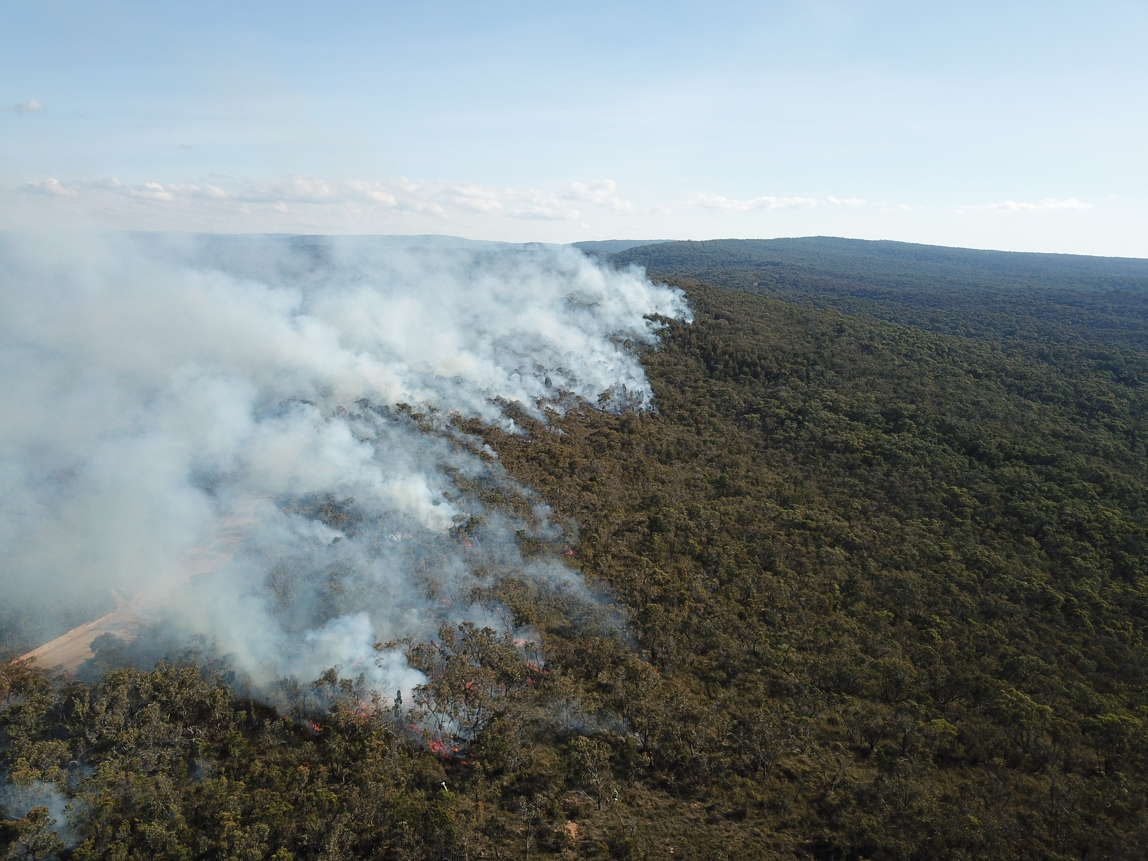 Smoke rising from Low intensity winter planned burning