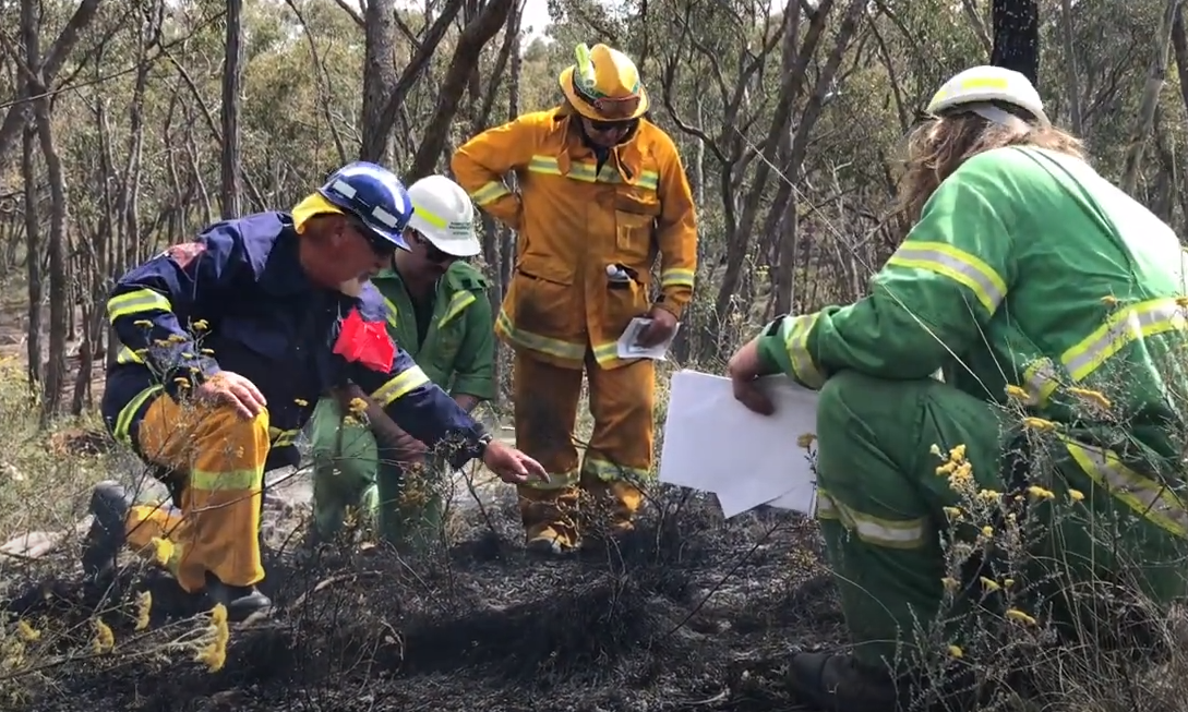 Trainer pointing at burnt ground to a group of students