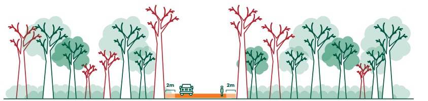 Diagram showing a landscape before a landscape protection break is in place. It shows trees on either side of a road, with a 2m space between the trees and road space.