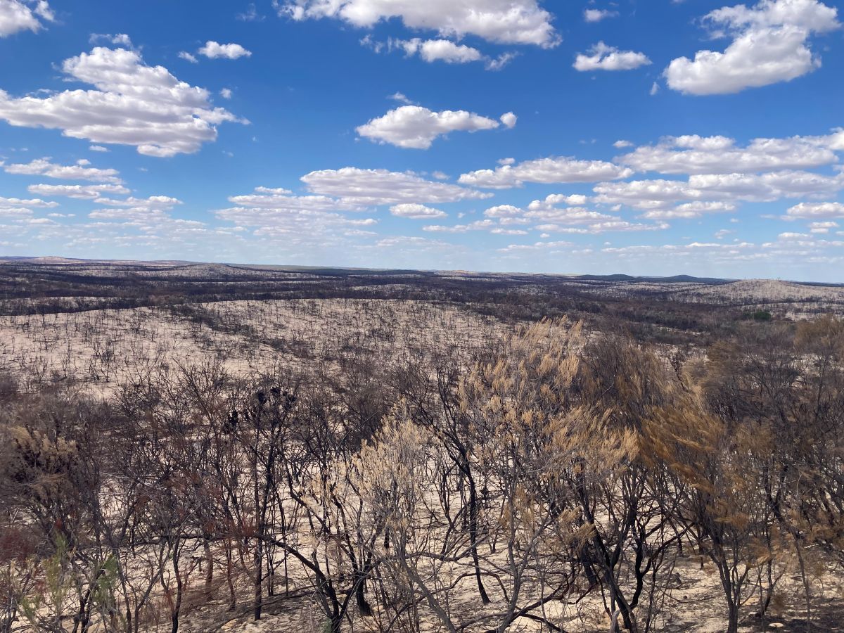 A panoramic image of the damage caused by the fire