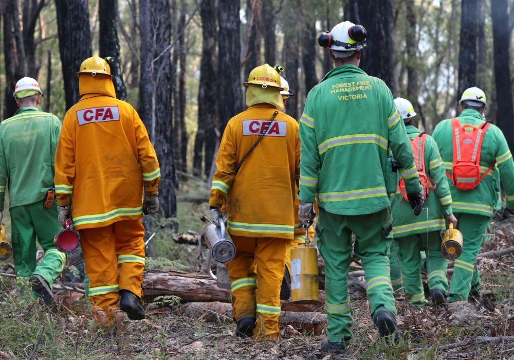 Planned burn by FFMVic and CFA crews