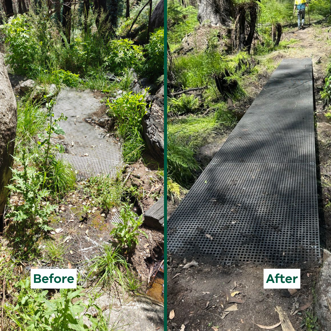 An overgrown boardwalk is shown on the left, and a repaired and clear boardwalk is shown on the right. 