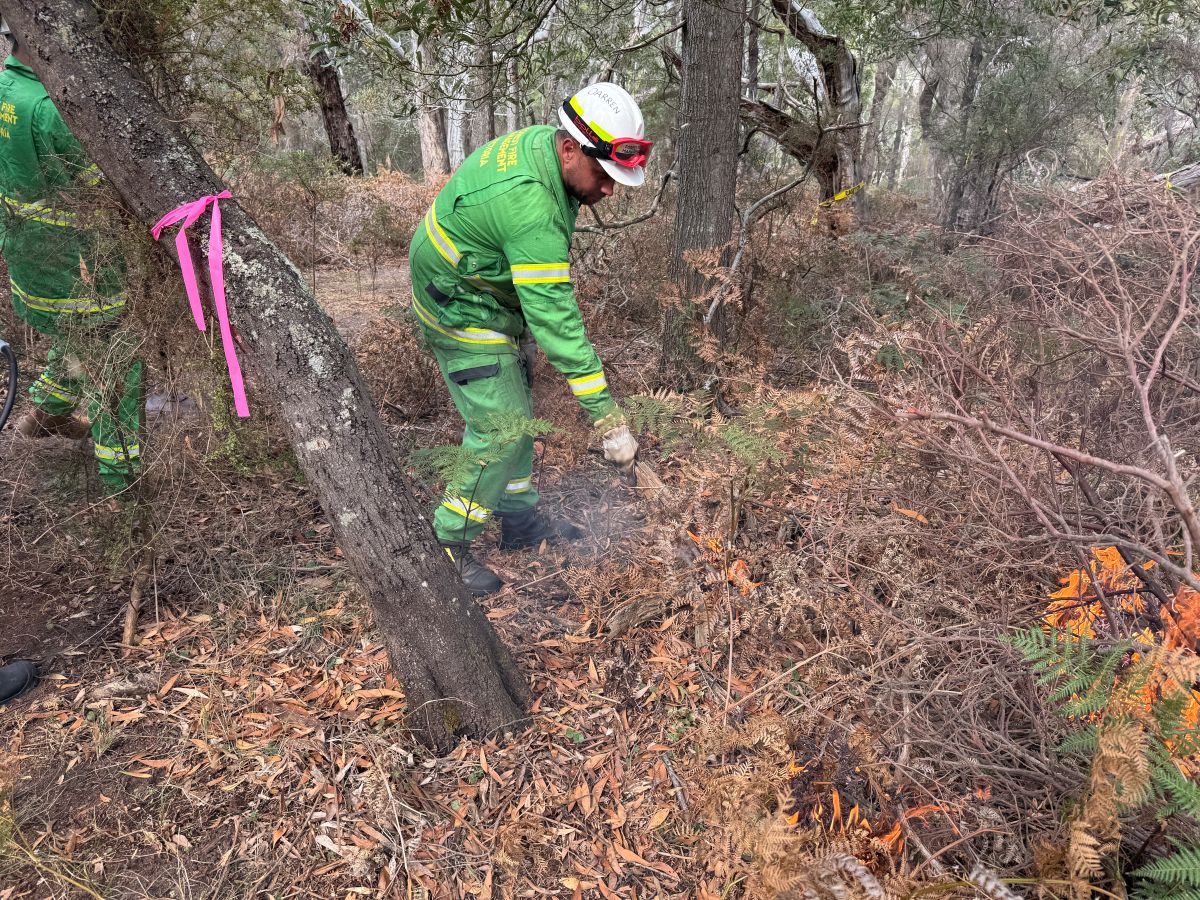 Firefighter igniting a burn