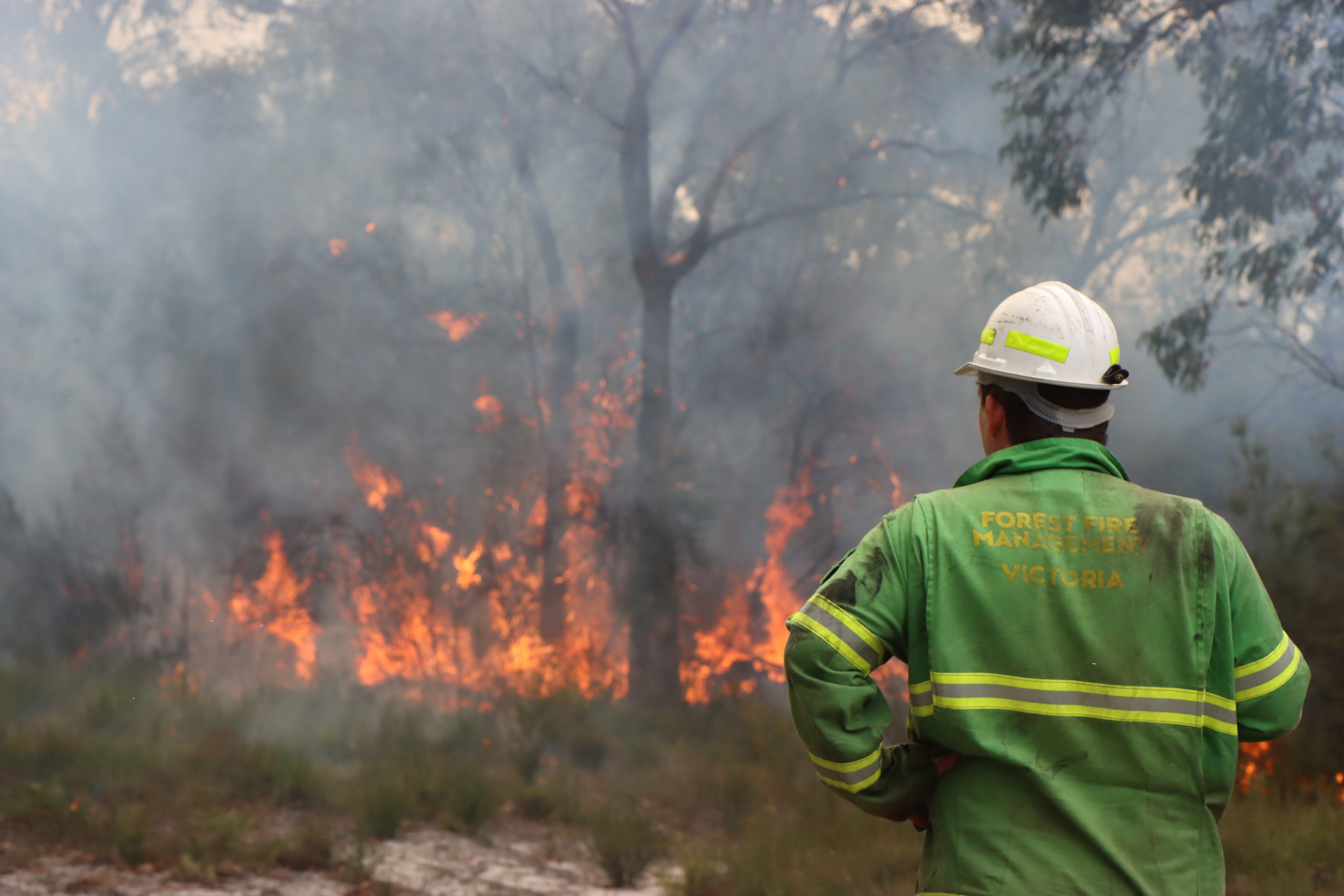 A fireighter observes a planned burn