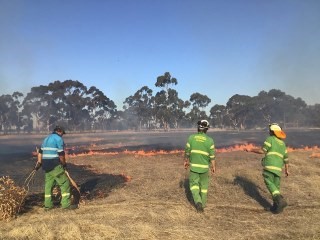 Barengi Gadjin Land Council, supported by FFMVic staff, have undertaken burns at Brynterion State Forest and Arapiles (Dyurrit Walpa)