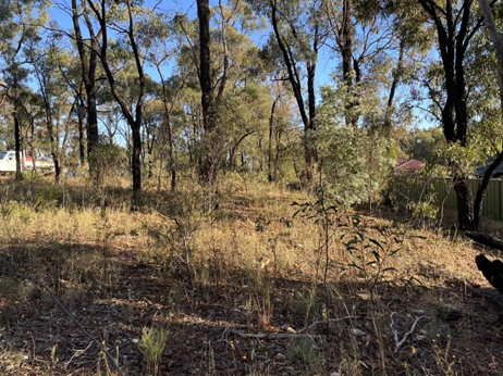 Smoke from planned burning, Port Phillip region