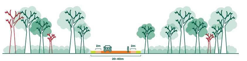 Diagram showing a landscape after a landscape protection break is in place. It shows trees on either side of a road, with a maintained space between the trees, followed by a 2m space to the road space. The overall space between the trees is labelled 20-40m.