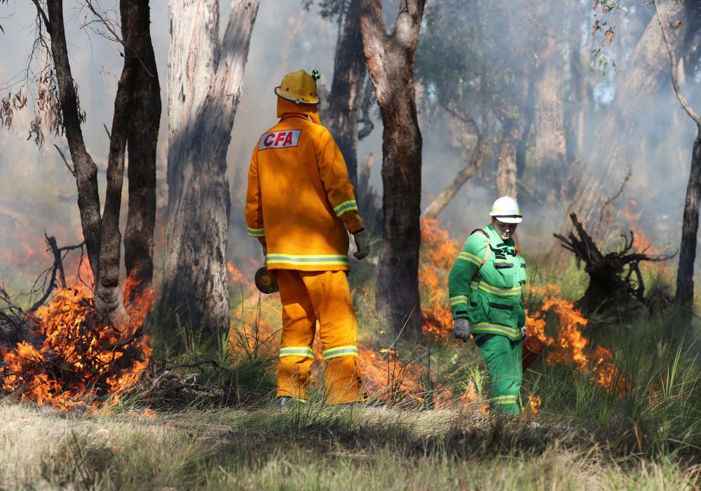 FFMVic and CFA crews conducting a planned burn