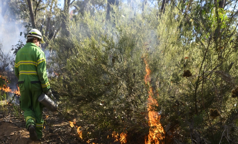 FFM Vic staff member conducting planned burning