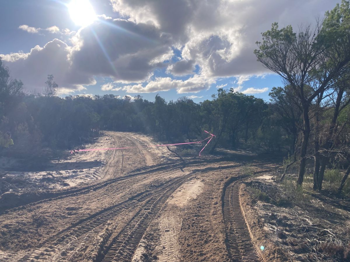 Dirt road in a wooded area under a partly cloudy sky with sunlight streaming through clouds. Pink tape marks a boundary along the road, which shows multiple tire tracks and curves to the right, indicating recent vehicle activity.