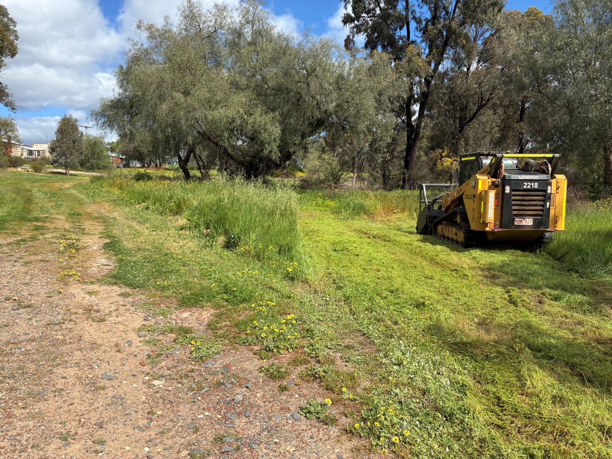 A dozer is slashing some grass in Bendigo