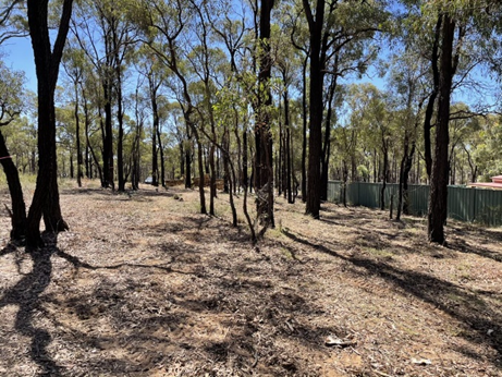 Kangaroo Flat after mulching works, Photo credit: Fire Risk Consultants