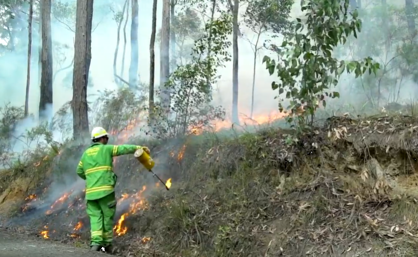 Person conducting a planned burn