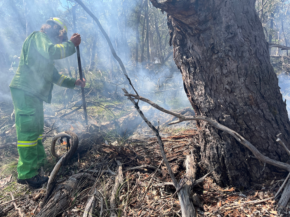 Person stands near large tree tending a burn, smoke billows around them