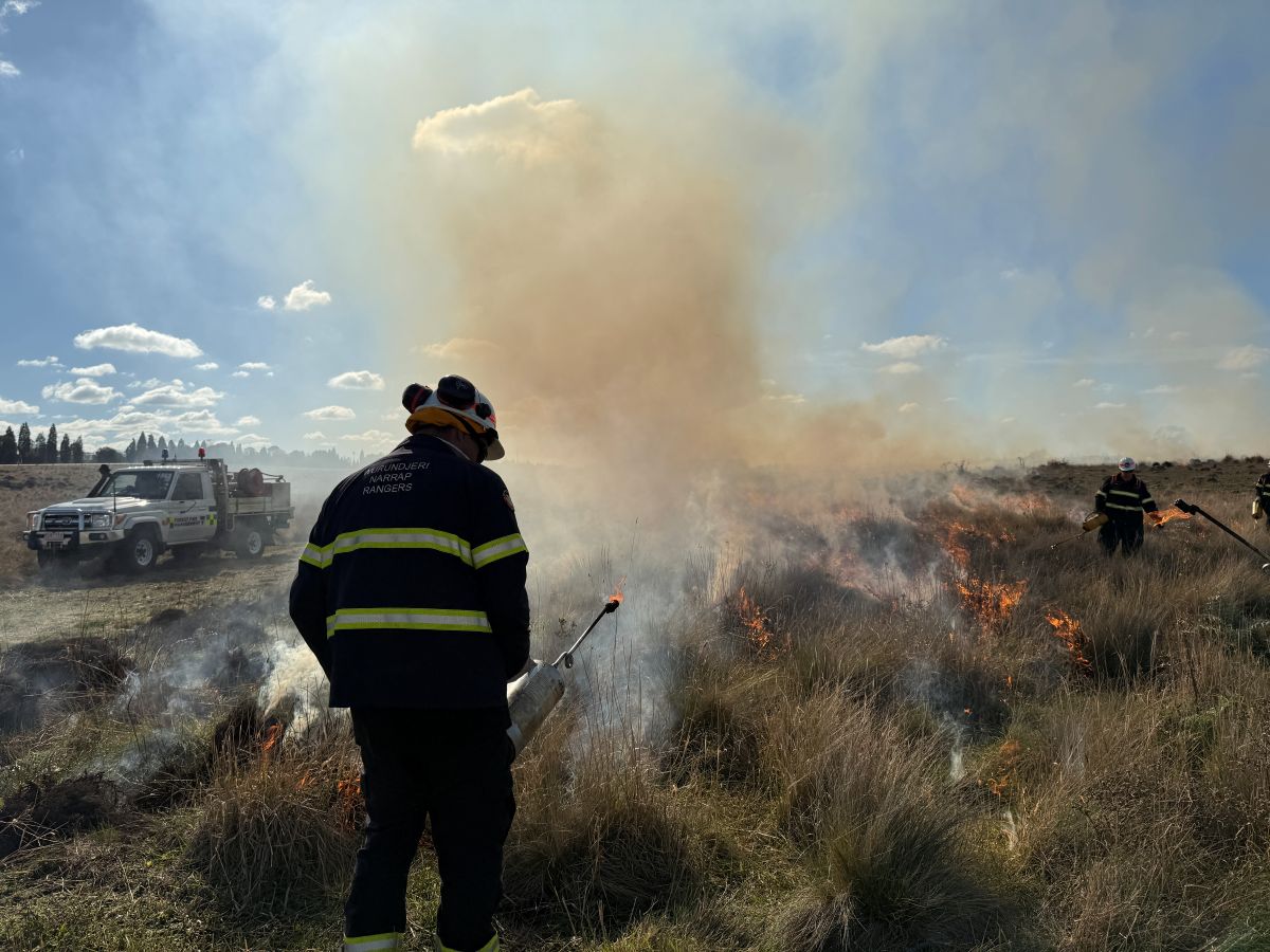 A Wurundjeri Narrap Ranger igniting a burn holding a drip torch