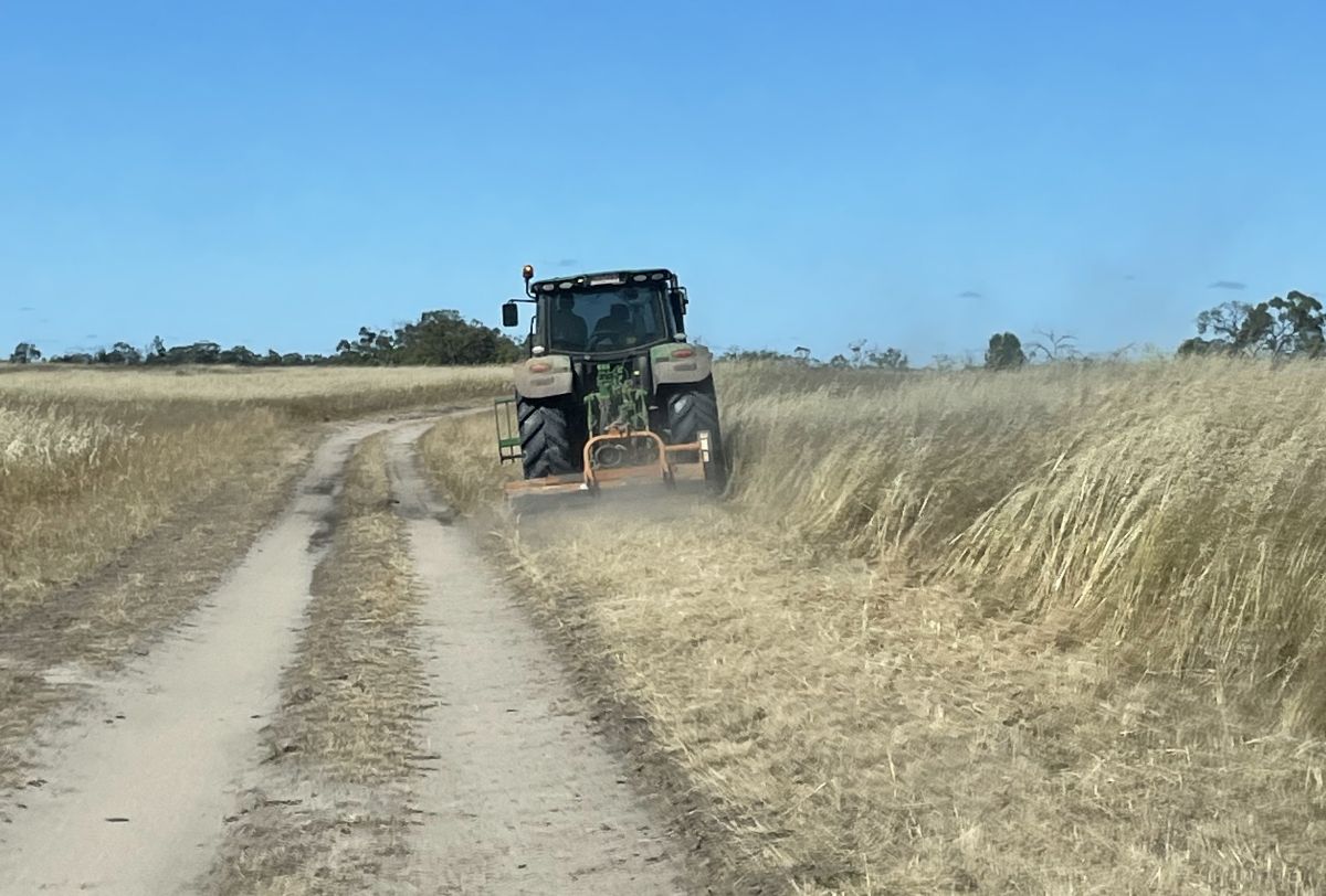 A bulldozer slashing some dry grass