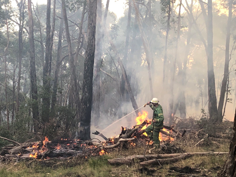 Planned burn underway at Campey Road