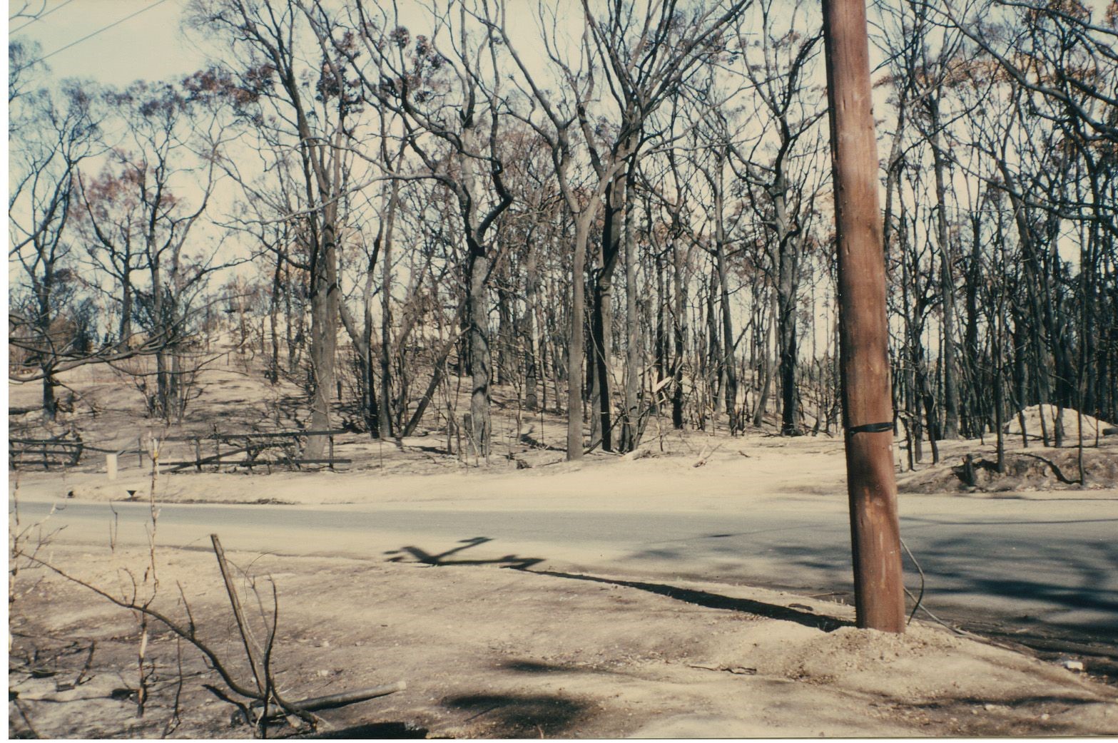 The northern entry to Critchley Parker Junior Reserve.