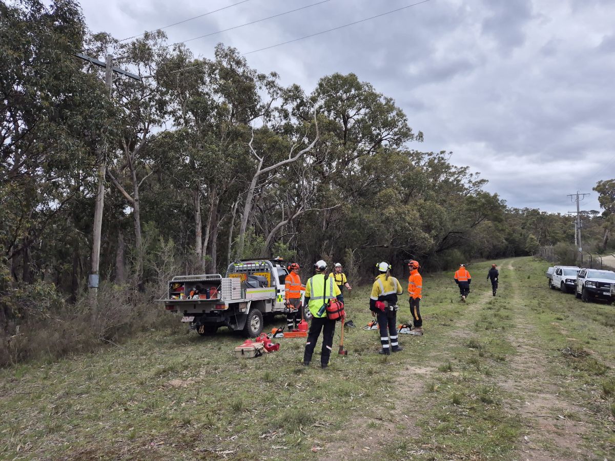 Group arriving to the site for their chainsaw training