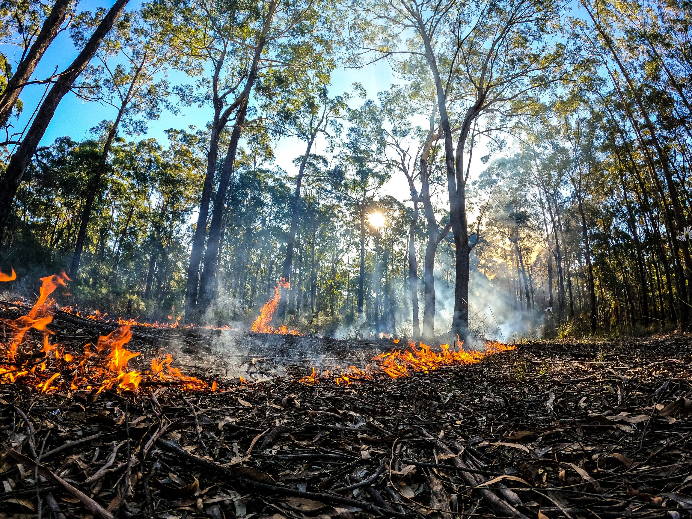 Planned burning underway in East Gippsland