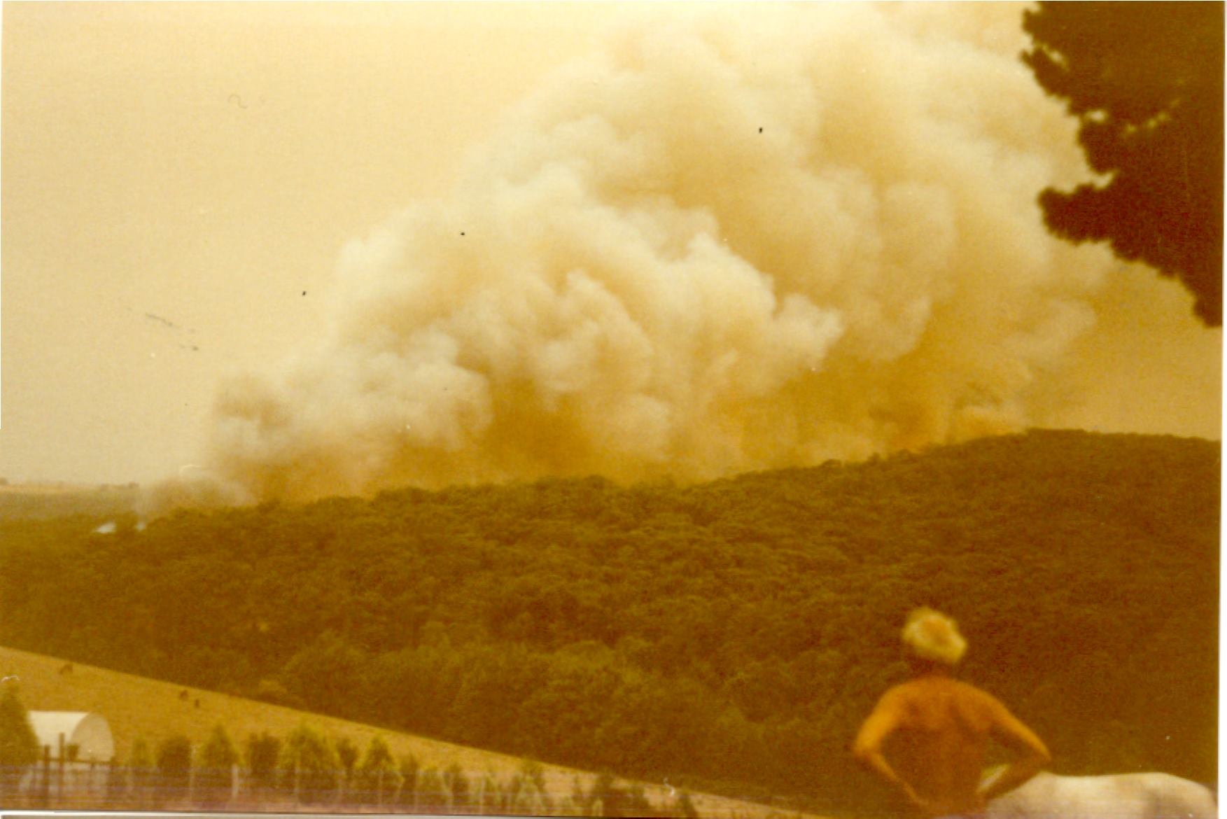 Tom Van den Dungen watching the track of the fire in Cockatoo. Photo: Tonia Van den Dungen. Source: Christmas Hills CFA